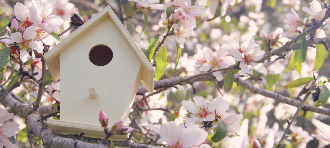Reasons to Consider Selling Your Home This Spring